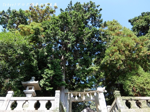 熊野神社鳥居