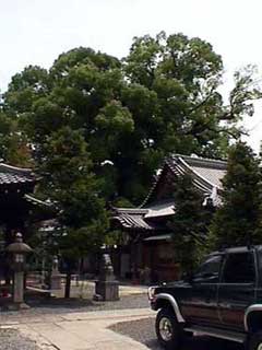 新熊野神社