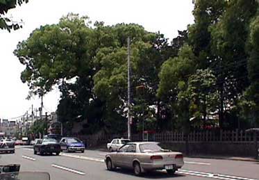 新熊野神社