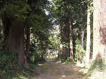 高田神社参道