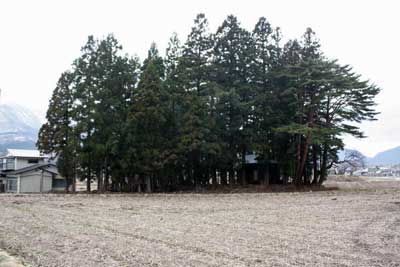 熊野神社遠景