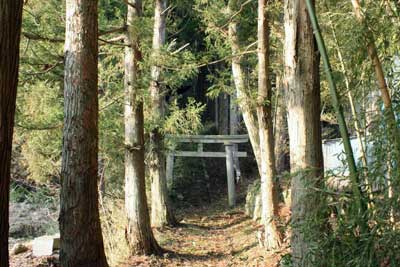 熊野神社鳥居