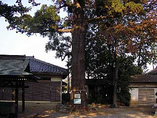 熊野神社境内