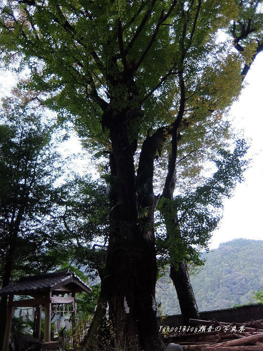 熊野神社石段