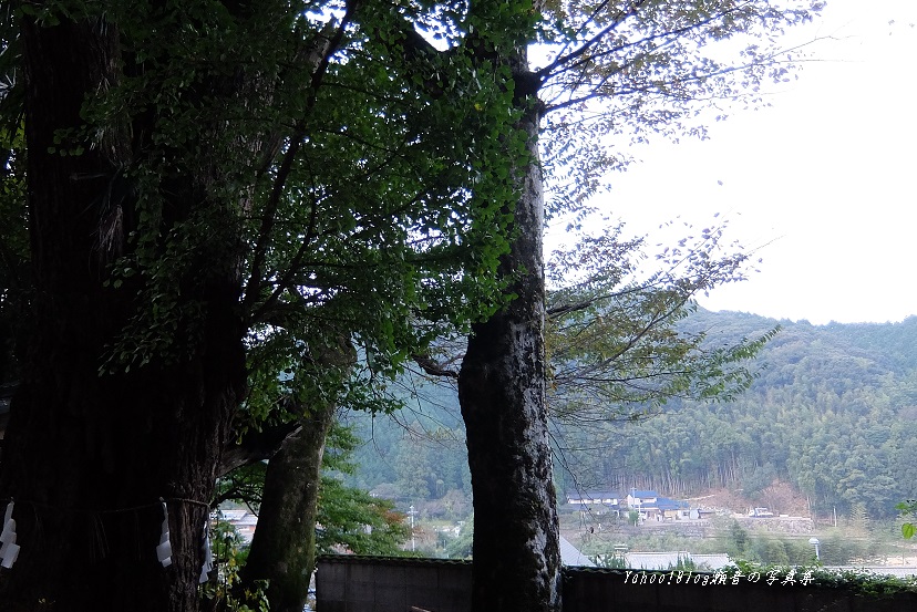 熊野神社石段