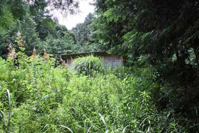 熊野神社拝殿