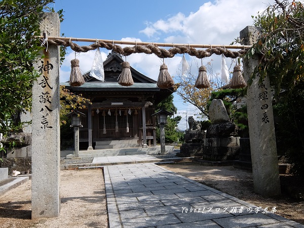 磯崎神社注連柱