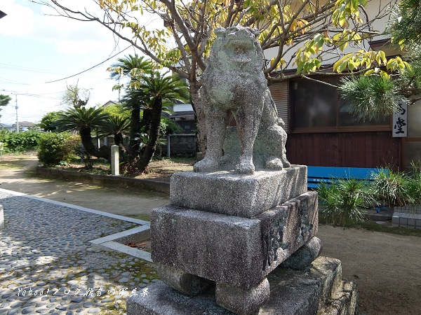 磯崎神社狛犬右