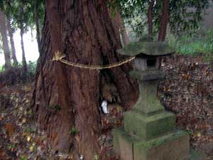 熊野神社石灯籠