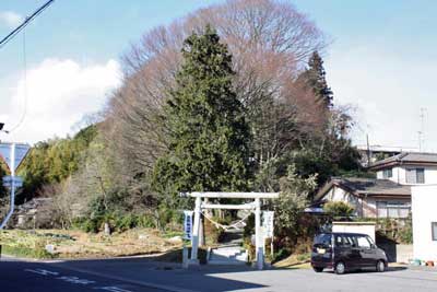 熊野神社遠景