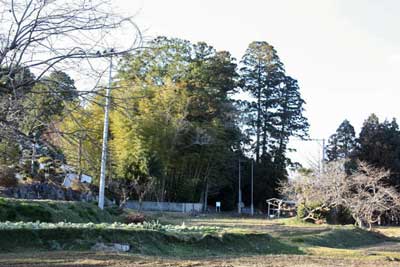 熊野神社遠景