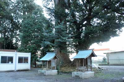 熊野神社境内社