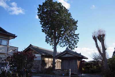 熊野神社拝殿