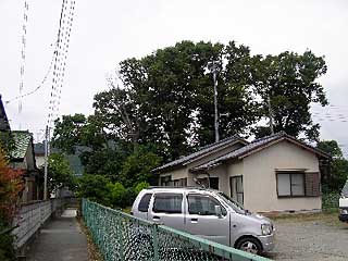 熊野神社遠景