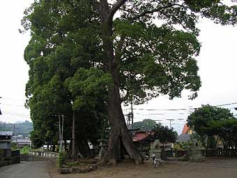 熊野神社境内