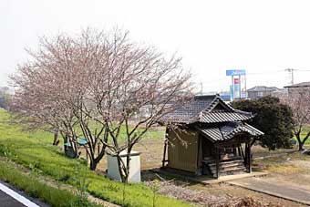 熊野神社境内