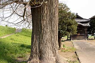 熊野神社境内