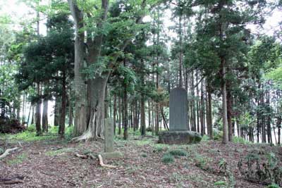 熊野神社境内