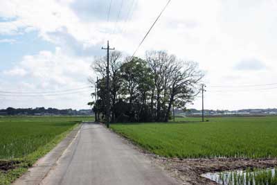 熊野神社遠景