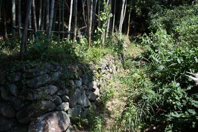 熊野神社参道