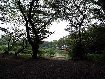 熊野神社境内