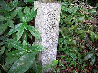 熊野権現社（荏柄天神社境内社）