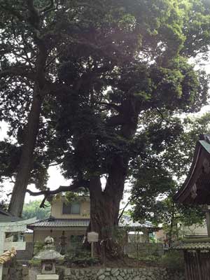 王子神社境内