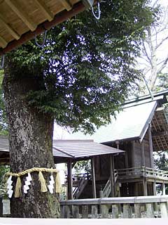 関神社鳥居