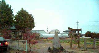 上三川町熊野神社敷地