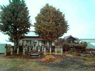 上三川町熊野神社いちょう