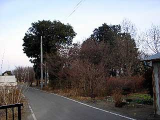 熊野神社遠景