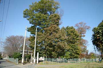 熊野神社遠景