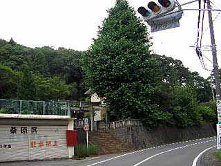 熊野神社遠景