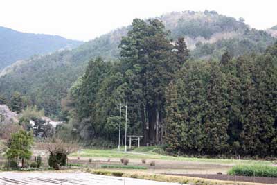 熊野神社遠景