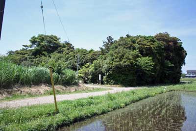 熊野神社遠景