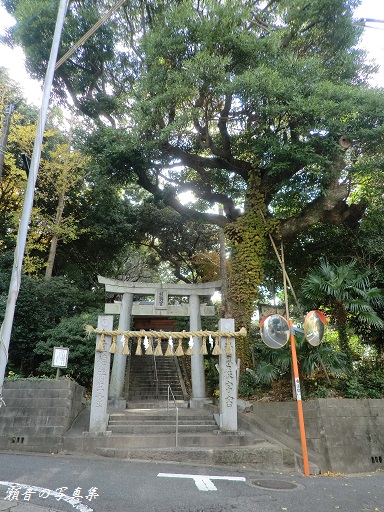 熊野神社