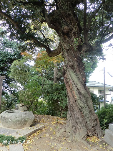 熊野神社