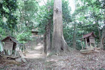 熊野神社境内