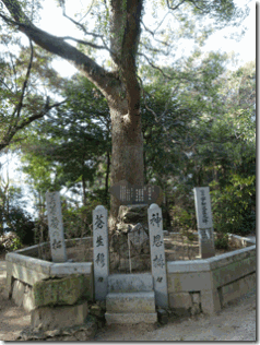 熊野神社クス