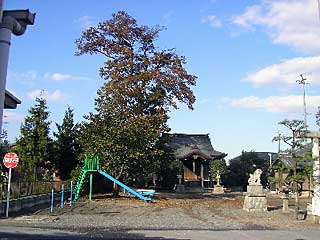 熊野神社遠景