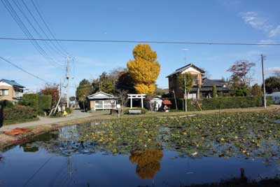 熊野神社遠景