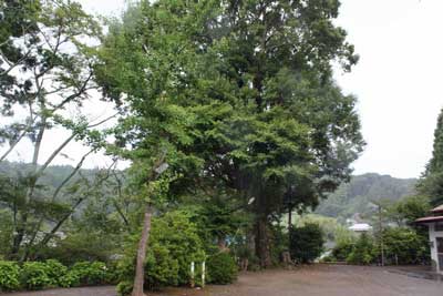 熊野神社境内