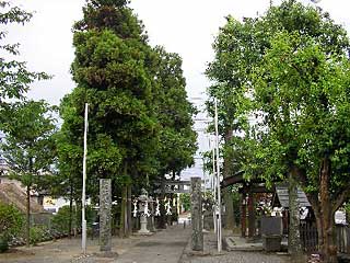 熊野神社境内