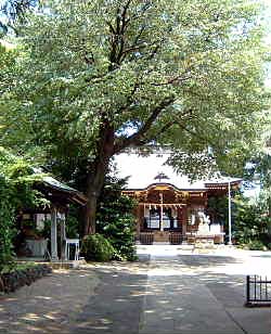 熊野神社境内