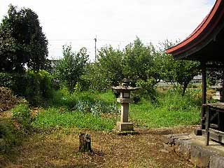 熊野神社境内