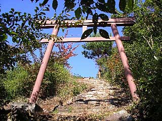 五所大神社鳥居