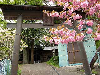 熊野神社鳥居