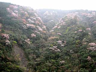 熊野神社扁額