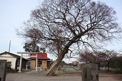 諏訪神社境内社