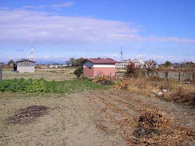 熊野神社遠景